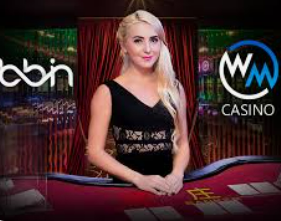 pg赚钱网站最新版